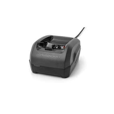 Įkroviklis QC250 Įkroviklis QC250