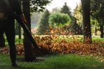 Kaip prižiūrėti rudeninę veją: 6 patarimai